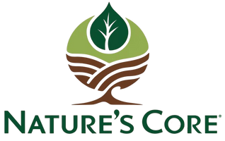 website logo